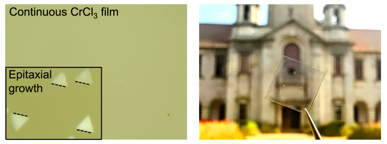 2DMM_Vivek-Kumar-768x287.png 2DMM_Vivek-Kumar-768x287.png