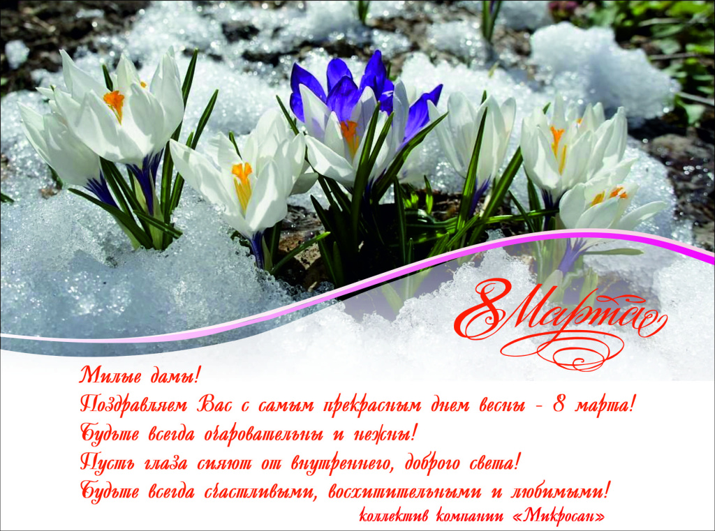 8 mart_2024_подснежники.jpg
